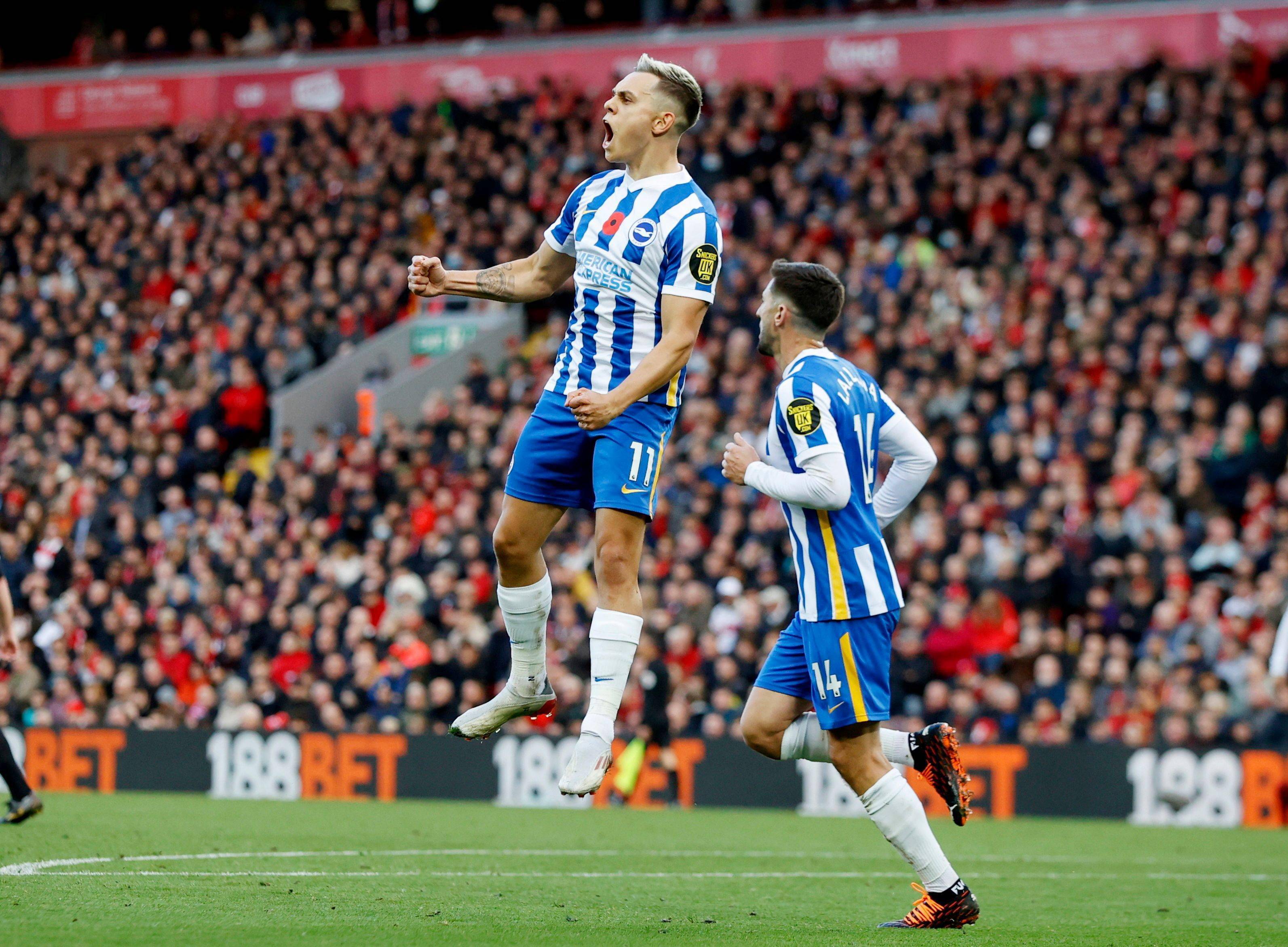 这也像一个 这也像一个